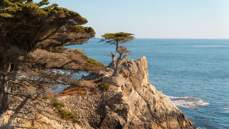 go-ride-monterey-28